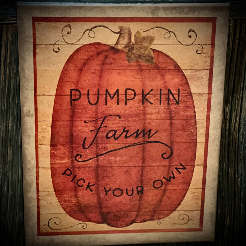 Pick Your Own Pumpkin Canvas Print