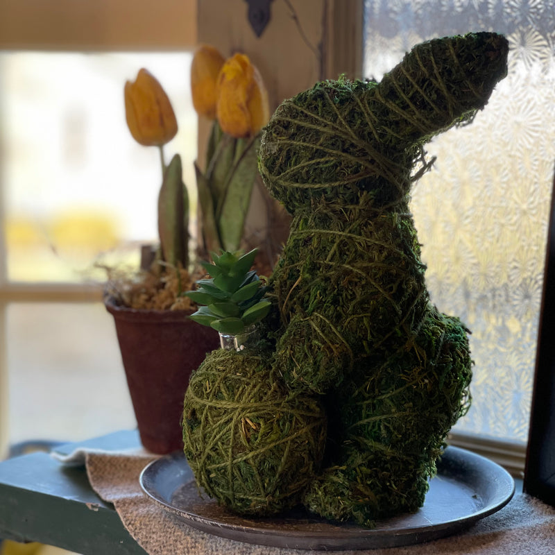 Moss Bunny w/ Succulent