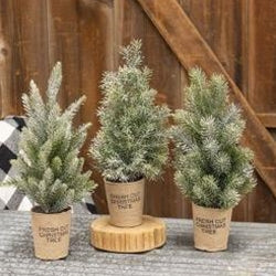 Frosted Tree In Paper Cup β Uniquely Primitive