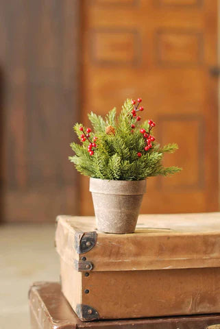 9.5” Potted White Spruce w/ Berries