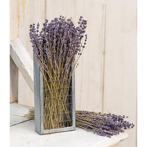 Dried Lavender Bunch 13”