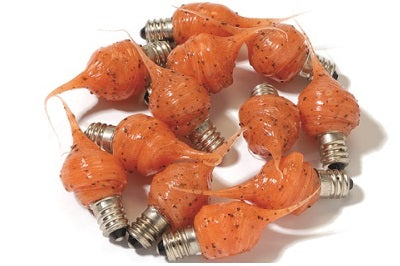 Tiny Tim Primitive Pumpkin Spice Bulbs 12 Pack