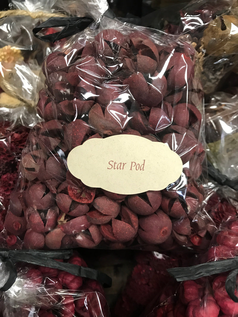 Star Pod Red